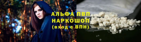 альфа пвп Заводоуковск