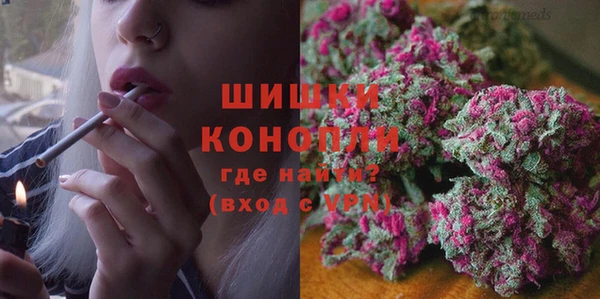 альфа пвп Заводоуковск