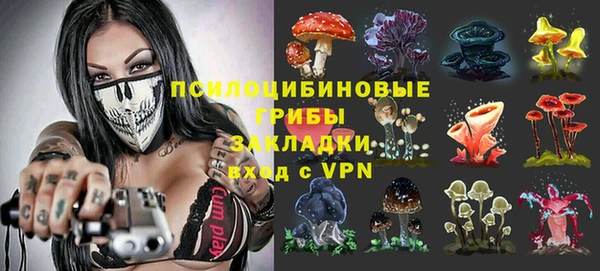 mdpv Елизово