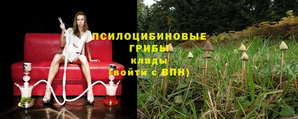 стафф Заволжск