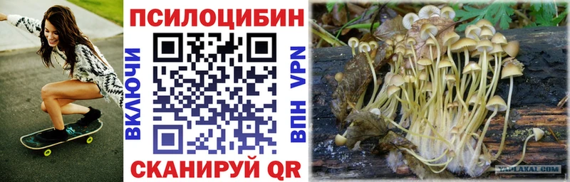 Галлюциногенные грибы ЛСД  где купить наркотик  Зверево 