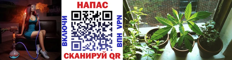 купить наркотик Зверево Бошки Шишки Bruce Banner